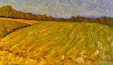 Campo26