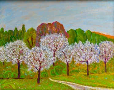 Fioritura