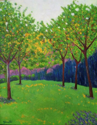 Alberi Alberi